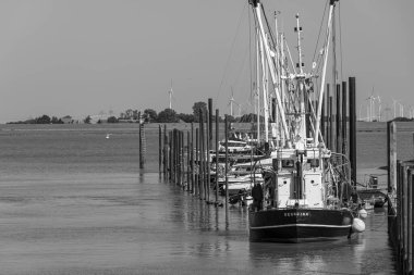 Ditzum köyü Almanya 'daki ems nehrinin orada.