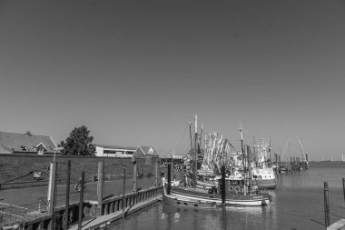 Ditzum köyü Almanya 'daki ems nehrinin orada.