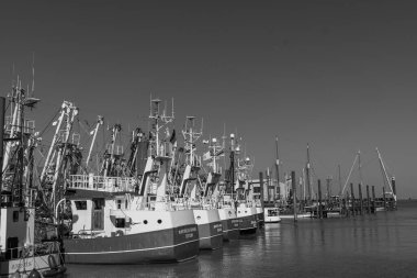 Ditzum köyü Almanya 'daki ems nehrinin orada.