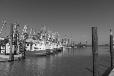 Ditzum köyü Almanya 'daki ems nehrinin orada.