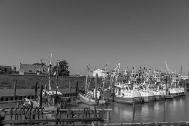 Ditzum köyü Almanya 'daki ems nehrinin orada.