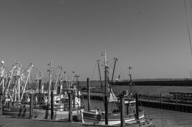 Ditzum köyü Almanya 'daki ems nehrinin orada.