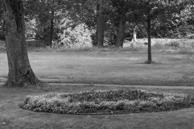 Almanya 'da, şehrine yakın eski bir kale.