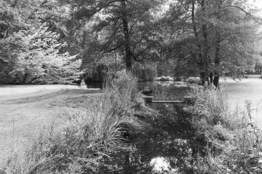 Almanya 'da Leer City yakınlarında bir kale.