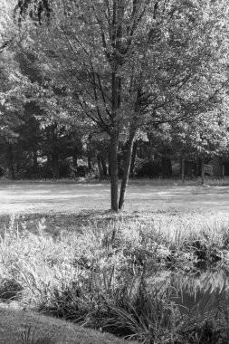 Almanya 'da Leer City yakınlarında bir kale.