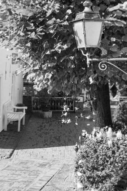 Almanya 'da Leer City yakınlarında bir kale.