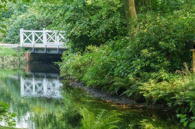 Almanya 'da Leer City yakınlarında bir kale.