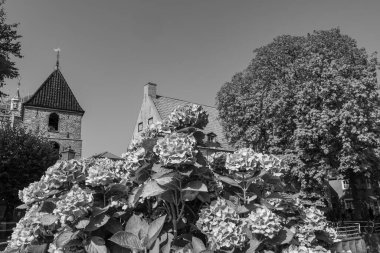 Almanya 'da Kuzey Denizi' nde selamlar