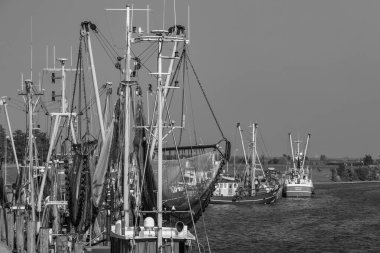 Almanya 'da Kuzey Denizi' nde selamlar