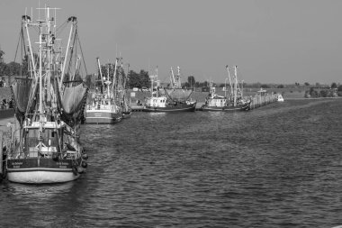 Almanya 'da Kuzey Denizi' nde selamlar