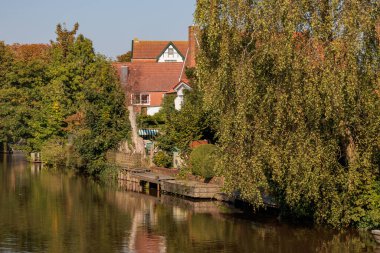Kuzey Denizi 'ndeki Krummhoern ve Selamlar