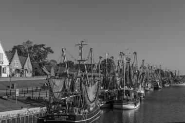 Kuzey Denizi 'ndeki Krummhoern ve Selamlar