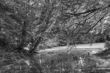 Kuzey Denizi 'ndeki Krummhoern ve Selamlar