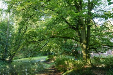 Alman Kuzey Sahili 'nde selamlar