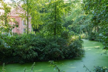 Alman Kuzey Sahili 'nde selamlar