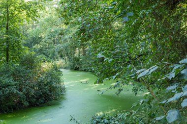 Alman Kuzey Sahili 'nde selamlar