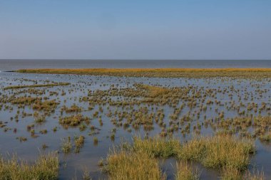 Kuzey Denizi, Almanya 'da Norddeich