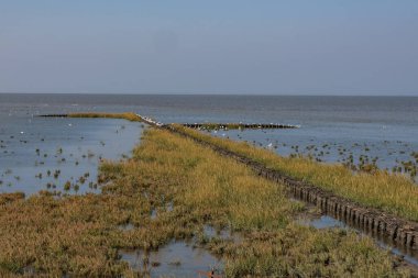 Kuzey Denizi, Almanya 'da Norddeich