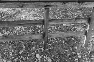 Weseke köyünde sonbahar mevsimi