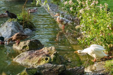 Weseke köyünde sonbahar mevsimi