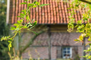 Weseke köyünde sonbahar mevsimi