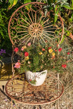 Weseke köyünde sonbahar mevsimi