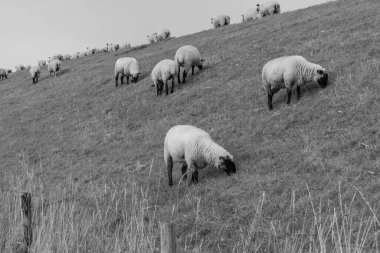 Alman Doğu Frizya 'sındaki küçük köyler