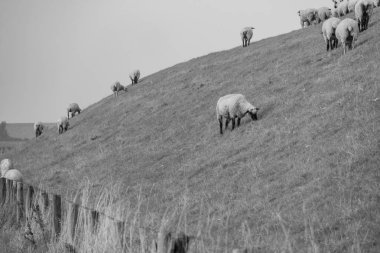 Alman Doğu Frizya 'sındaki küçük köyler