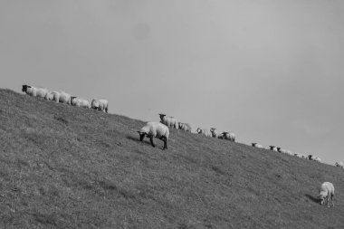 Alman Doğu Frizya 'sındaki küçük köyler