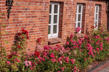 Alman Doğu Frizya 'sındaki küçük köyler