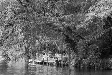 Hamburg Alster Nehri 'nde