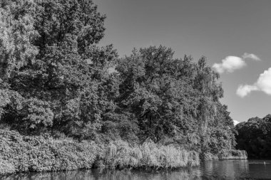 Hamburg ve alster vier