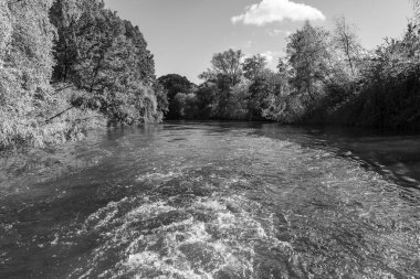 Hamburg ve alster vier