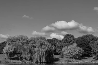 Hamburg ve alster vier
