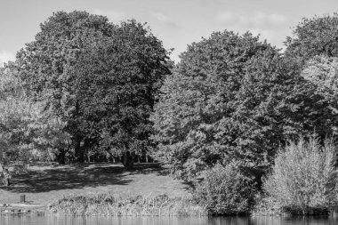 Hamburg ve alster vier