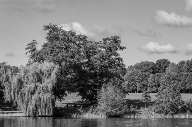Hamburg ve alster vier