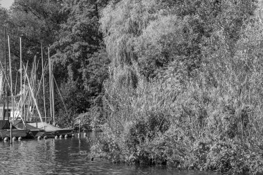 Hamburg ve alster vier