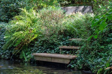 Hamburg şehri Alster nehrinin kıyısında.