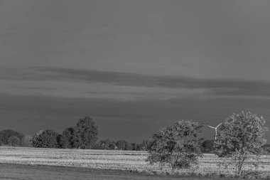 Alman Muensterland 'inde sonbahar zamanı