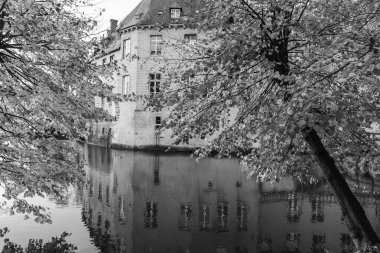 Alman Muensterland 'inde sonbahar zamanı