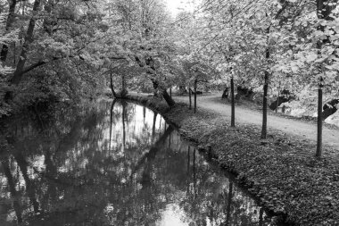 Alman Muensterland 'inde sonbahar zamanı