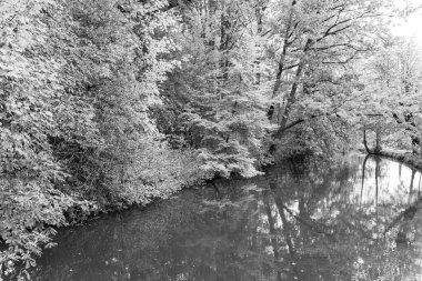 Alman Muensterland 'inde sonbahar zamanı