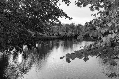 Alman Muensterland 'inde sonbahar zamanı