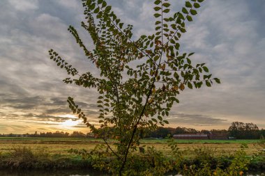 Alman Muensterland 'inde sonbahar zamanı