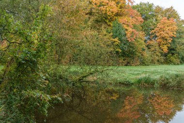 Alman Muensterland 'inde sonbahar zamanı