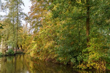 Alman Muensterland 'inde sonbahar zamanı
