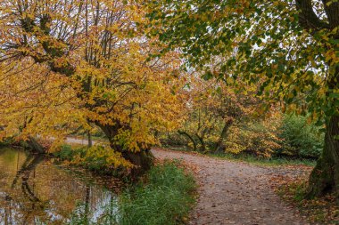Alman Muensterland 'inde sonbahar zamanı