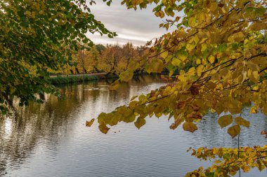 Alman Muensterland 'inde sonbahar zamanı