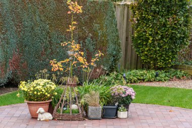Alman Muensterland 'inde sonbahar zamanı