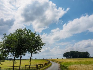 Westphalia Reken yakınlarındaki doğa